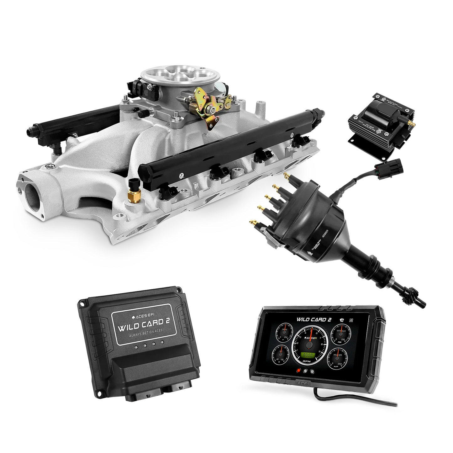 Wild Card 2 EFI - Top End Kits
