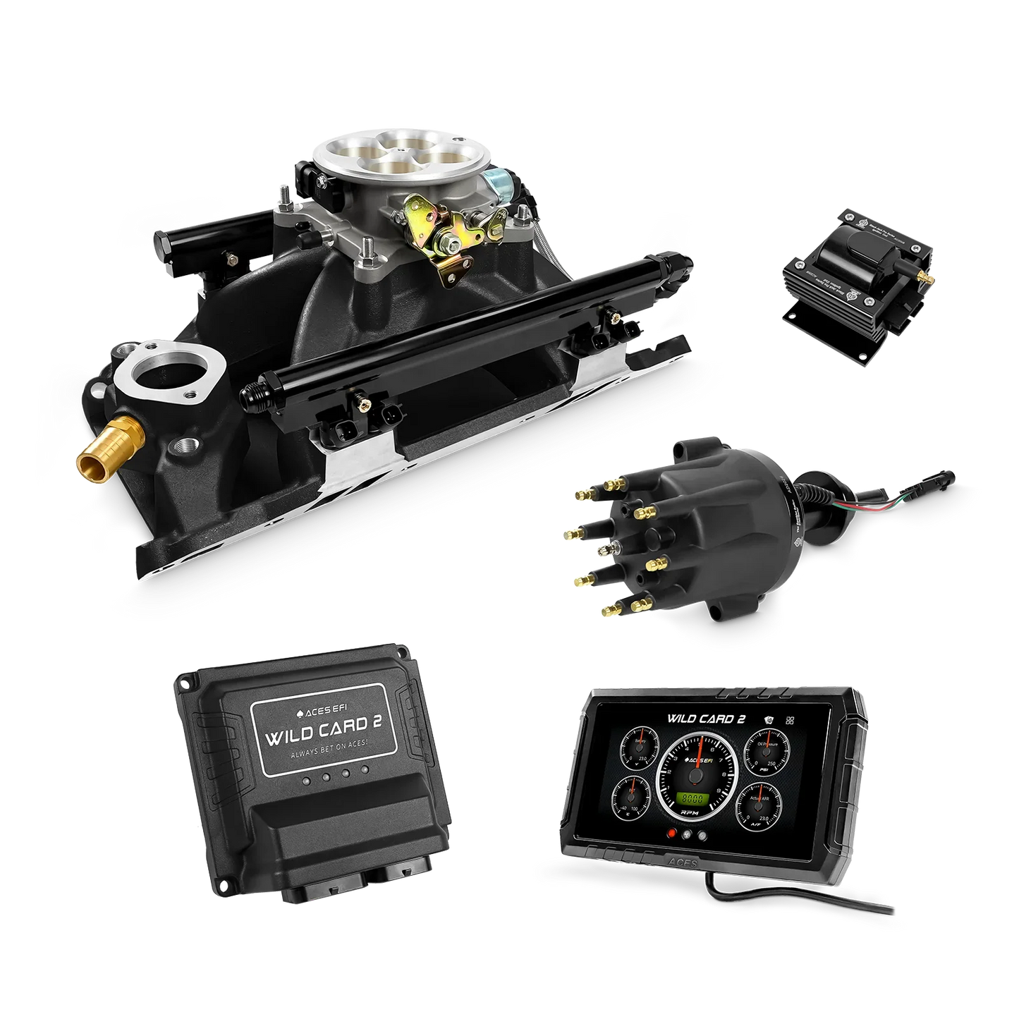 Wild Card 2 EFI - Top End Kits