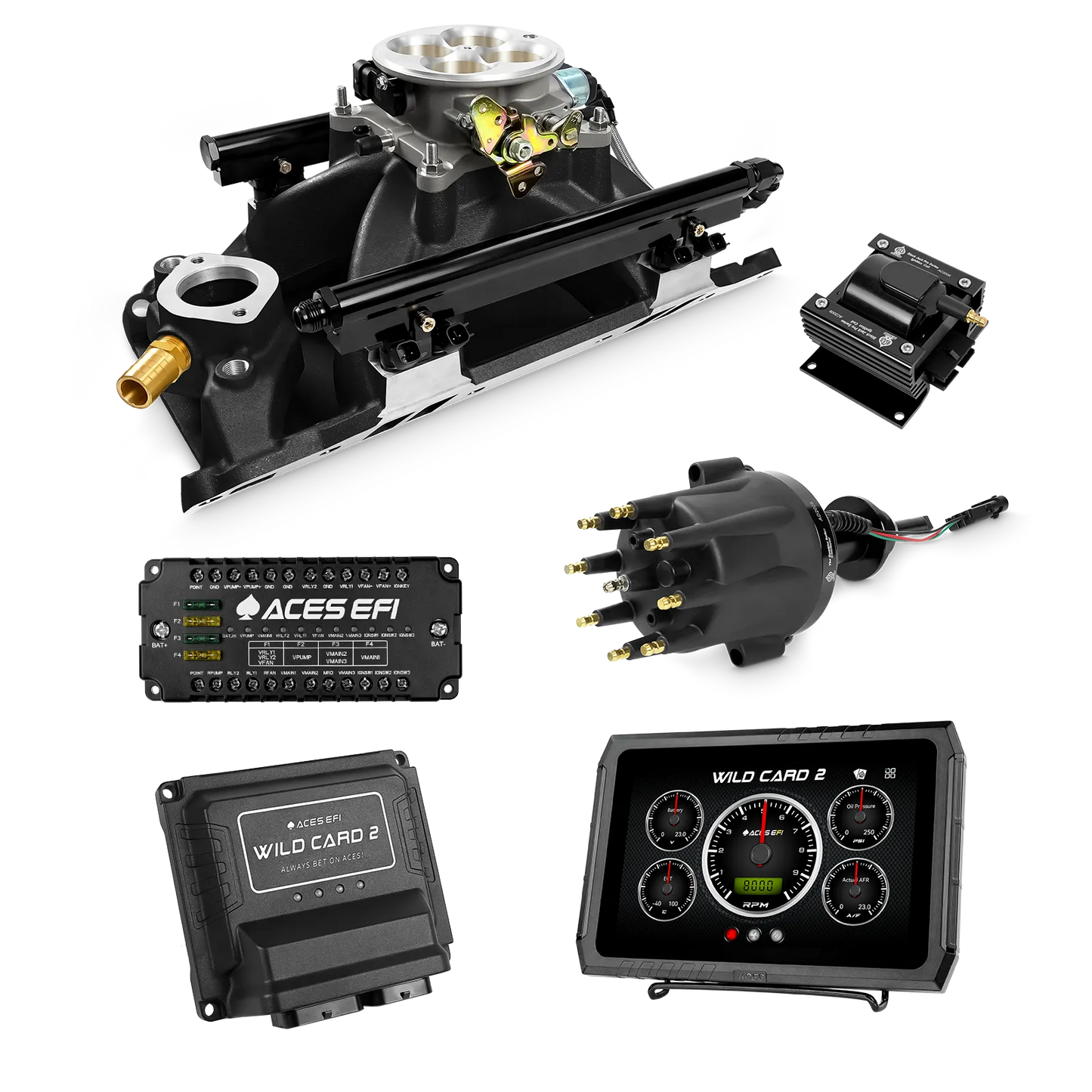 Wild Card 2 EFI - Top End Kits