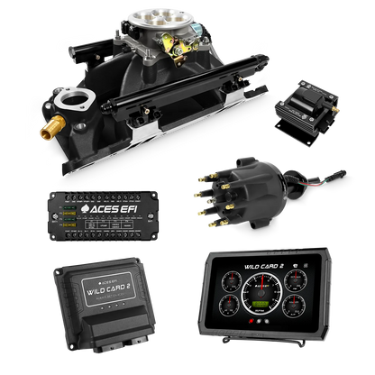 Wild Card 2 EFI - Top End Kits
