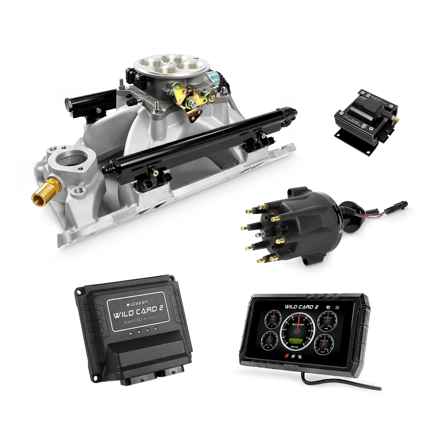 Wild Card 2 EFI - Top End Kits