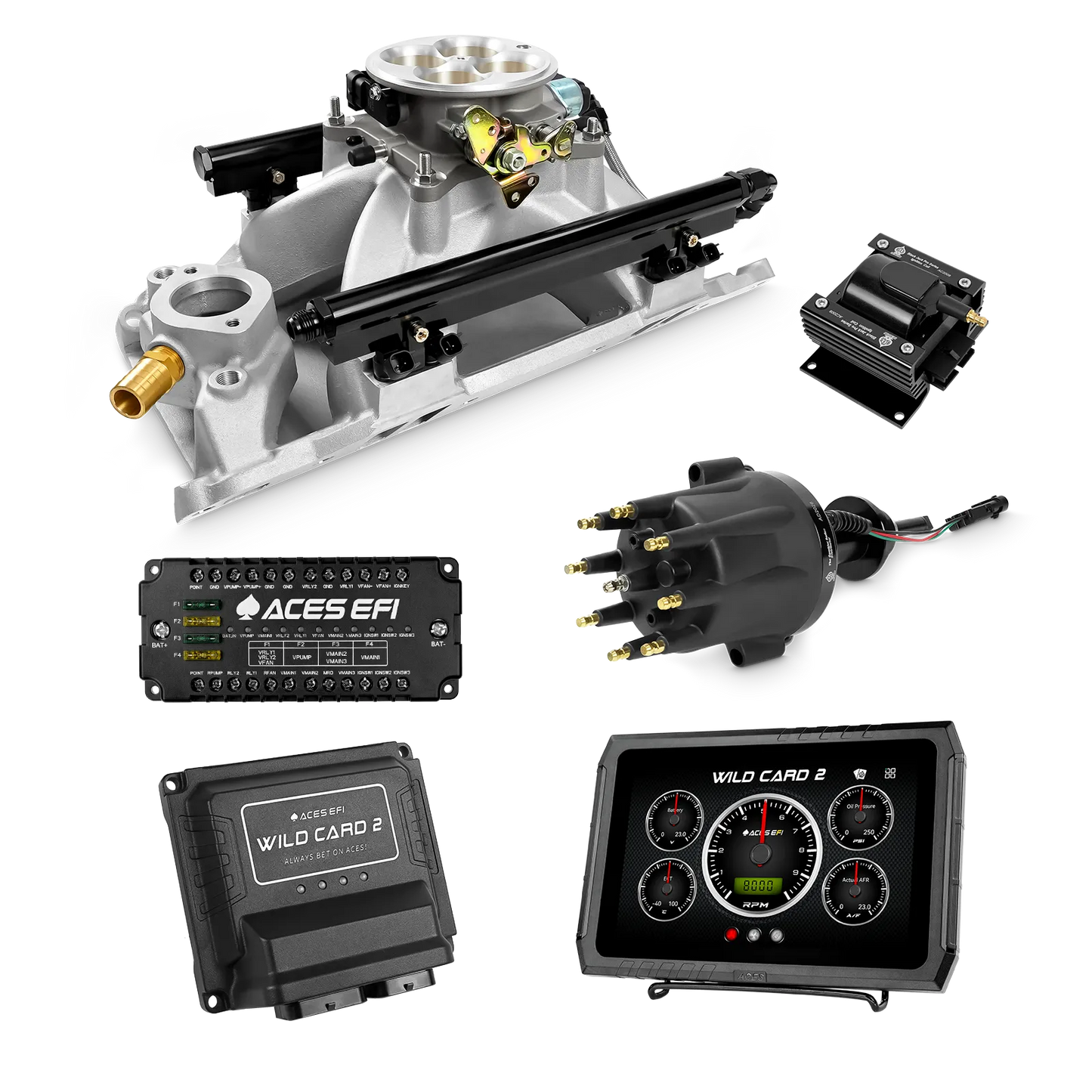 Wild Card 2 EFI - Top End Kits