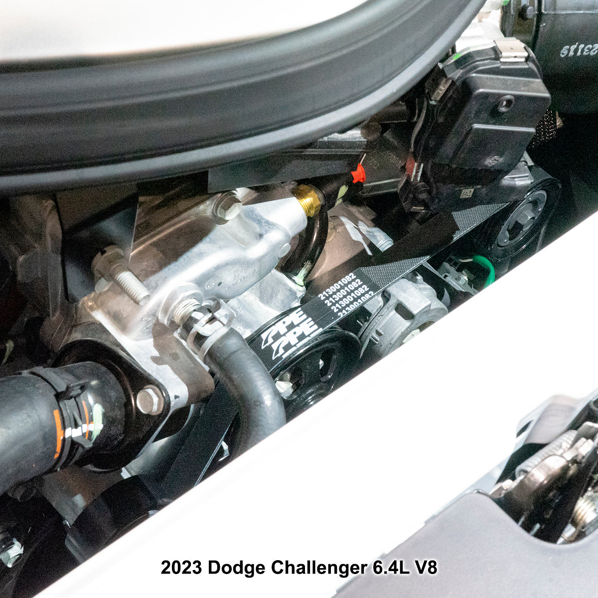 High-Performance Heavy-Duty Serpentine Belt - 2005-2024 Dodge Challenger/Charger/Durango, Jeep Grand Cherokee, Chrysler 300 - 5.7L and 6.4L V8 - PPE - Pacific Performance Engineering