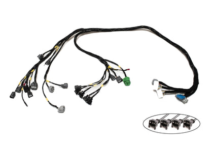 D & B-Series OBD1 Tucked Engine Harness Kit w/ Subharness | 00-01 Acura Integra DC