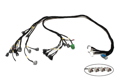 D & B-Series OBD1 Tucked Engine Harness Kit w/ Subharness | 88 - 91 EF CRX