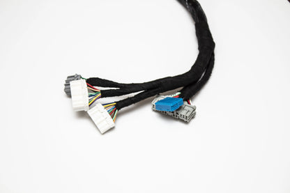 D & B-Series OBD1 Tucked Engine Harness Kit w/ Subharness | 92-95 Civic EG EJ