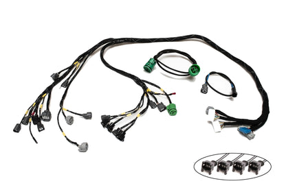 H-Series H2B OBD1 Tucked Engine Harness Kit w/ Subharness | 92-95 Civic EG EJ