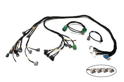 H-Series H2B OBD1 Tucked Engine Harness Kit w/ Subharness | 92-95 Civic EG EJ