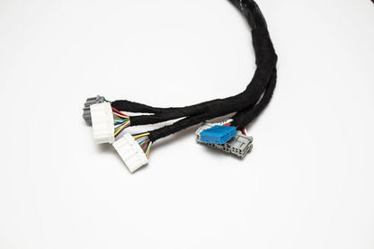 D & B-Series OBD1 Tucked Engine Harness Kit w/ Subharness | 92-96 Honda Prelude