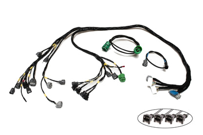 H-Series H2B OBD2A Tucked Engine Harness Kit w/ Subharness | 96-98 Civic EK
