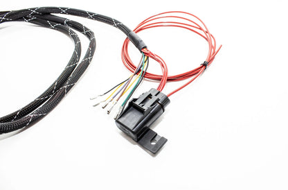 B Series K20 K24  / S2000 Coils Retrofit Harness w/ T1 Trigger Wiring