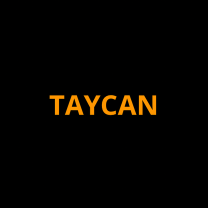 Porsche Taycan Screen ProTech Kit