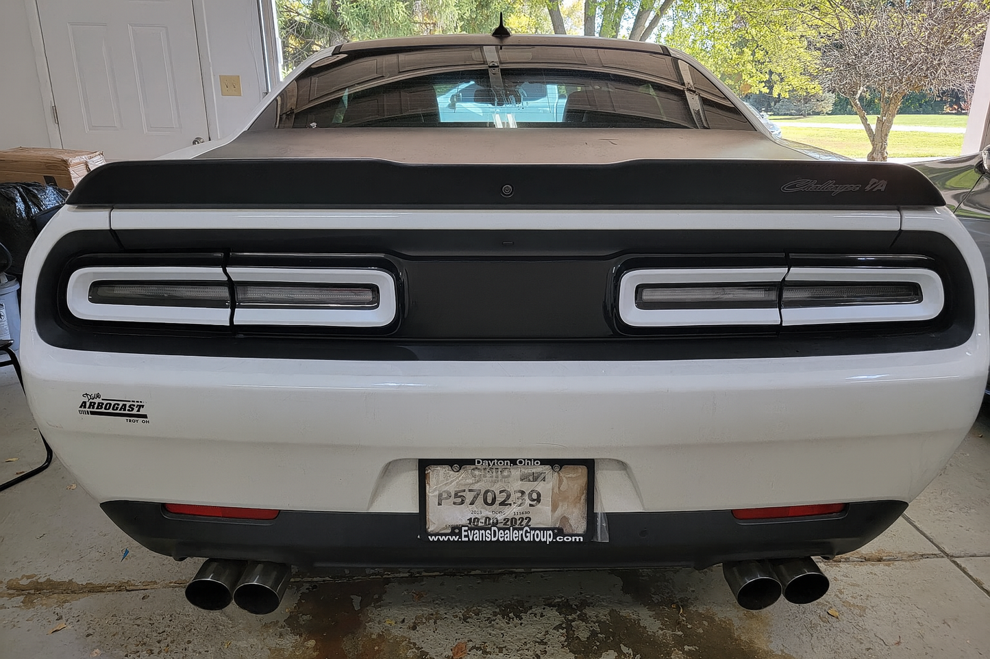 15-23 Dodge Challenger Colored Taillight Tint Overlay