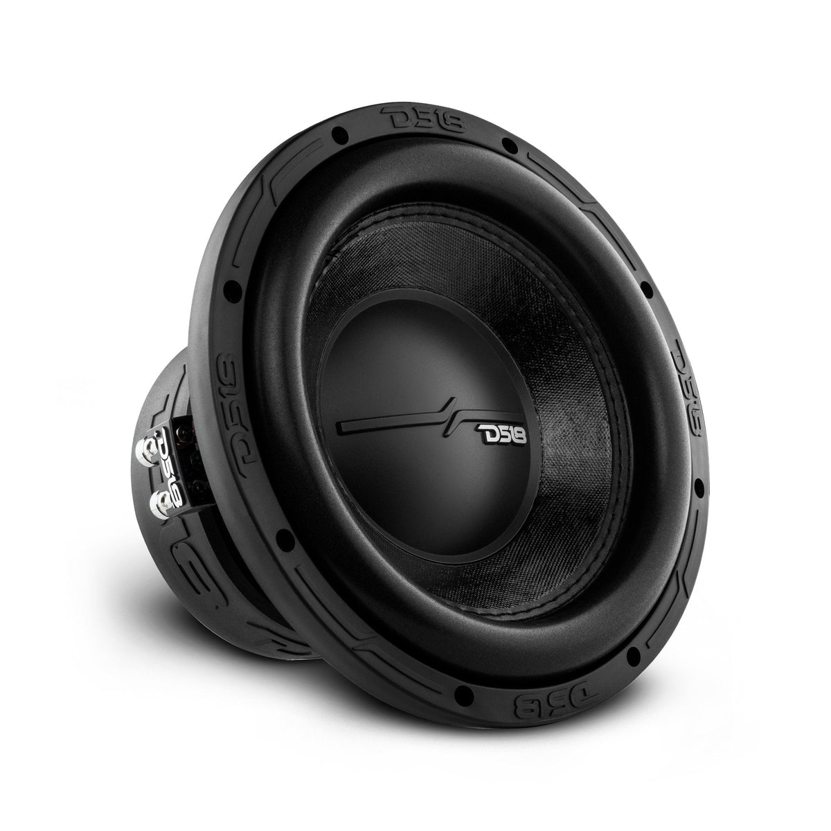 ZR 10" Subwoofer 700 Watts Rms DVC  2-Ohm