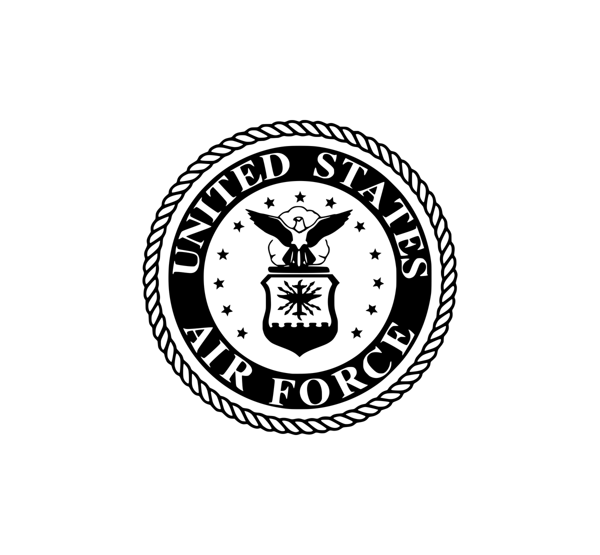 US Air Force Emblem Hood Graphic