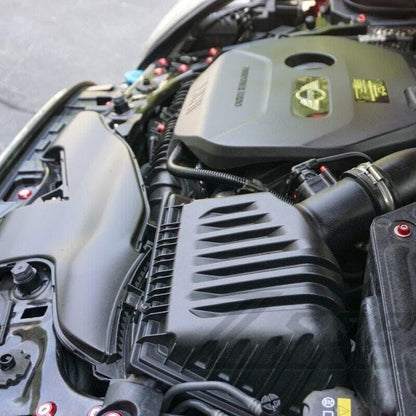 ZSPEC Stage-3 Dress Up Bolts® Fastener Kit for Mini Cooper S F56S, Stainless & Billet