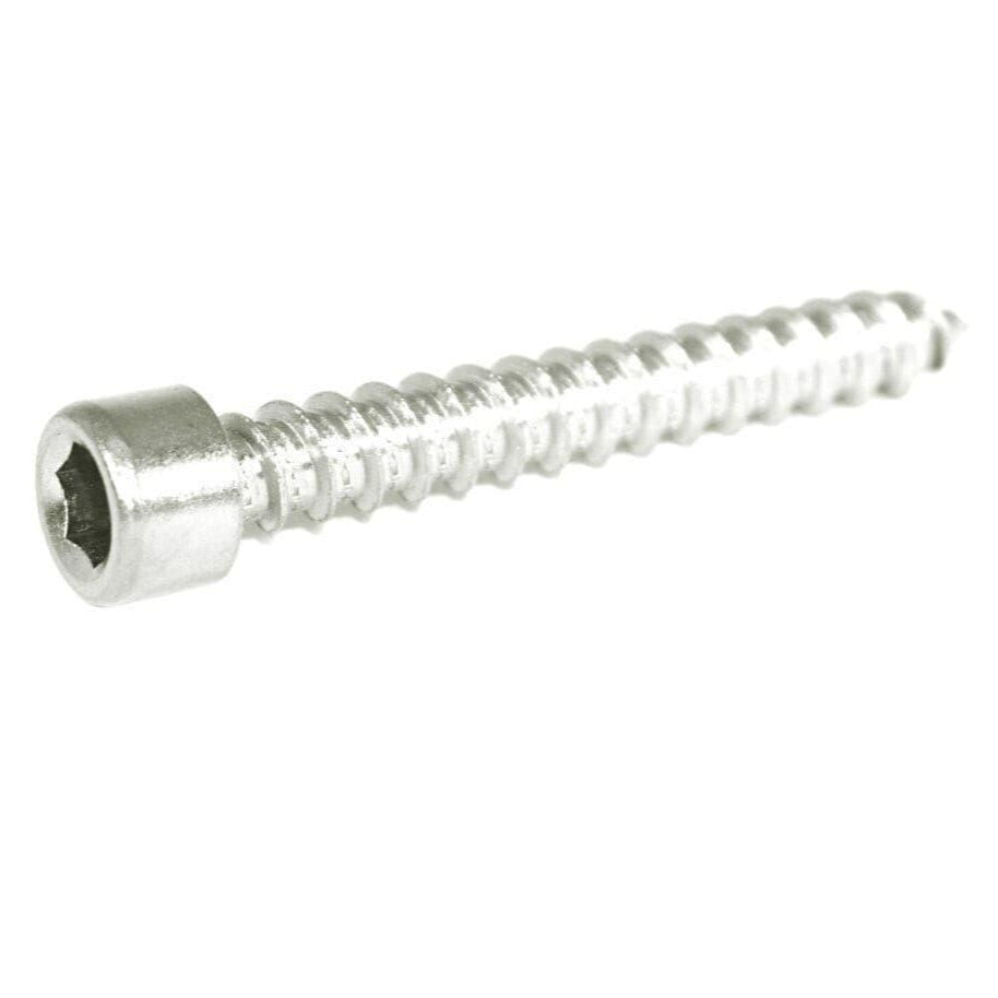 ZSPEC M6x40mm Coarse Socket-Cap SHSC Fasteners, Stainless, 10-Pack