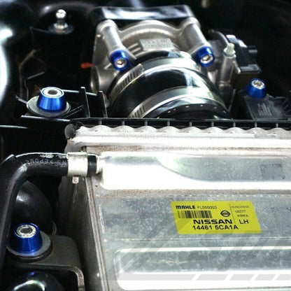 ZSPEC Stage-3 Dress Up Bolts® Fastener Kit for Infiniti Q50/Q60 w/VR30DDTT, Stainless & Billet