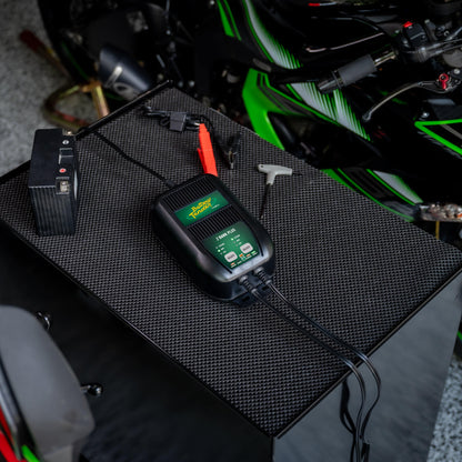 2-Bank, 1.25 AMP 12V Battery Charger