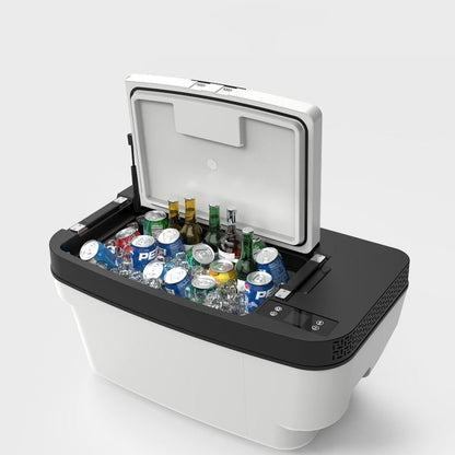 Car Refrigerator in Trunk for Model 3/Y | TESERY