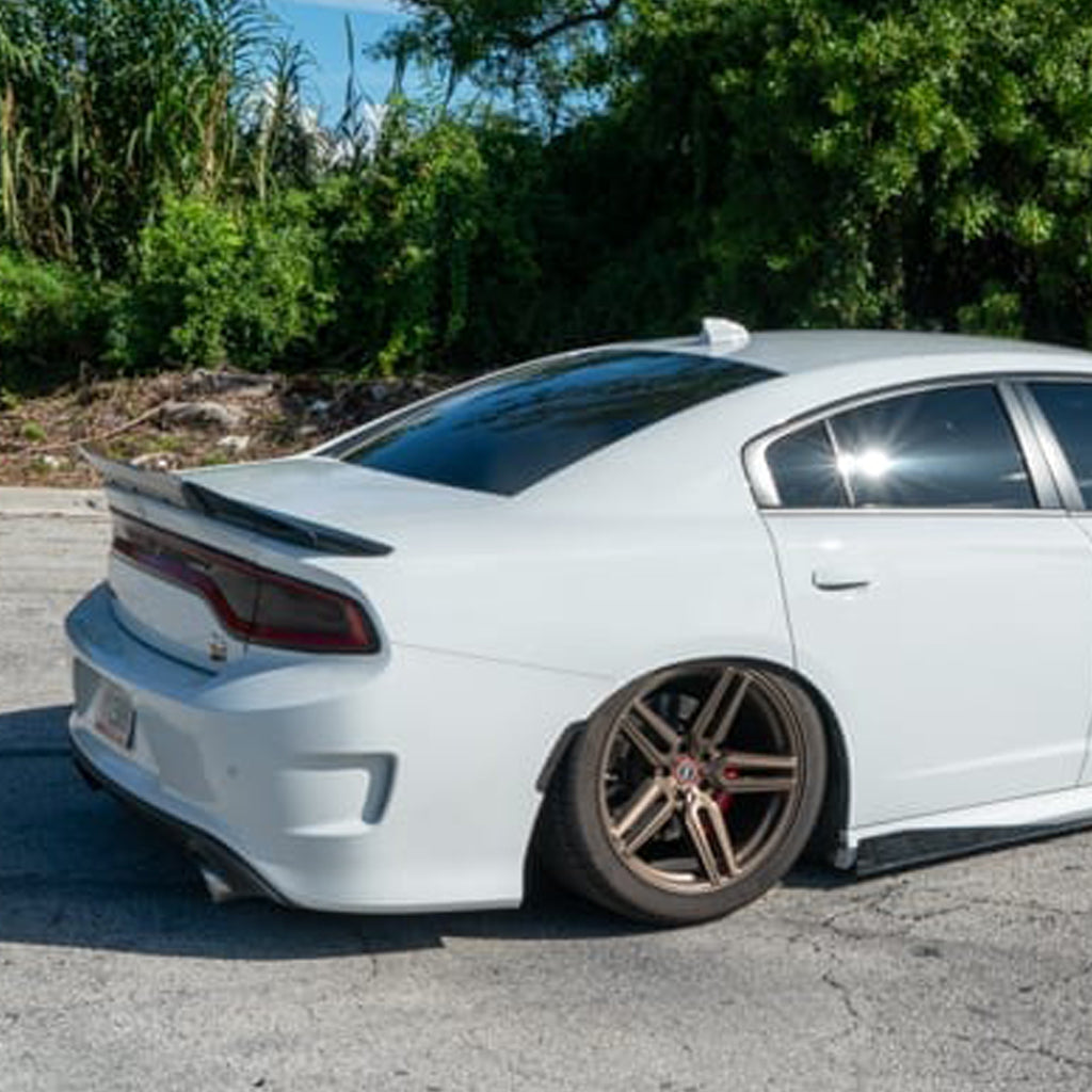 NIA Dodge Charger SRT Hellcat NIA Sleek Side Skirts 2015-2021 CHR15-SS ...