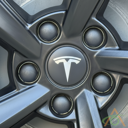 Tesla Wheel Center Cap Kit