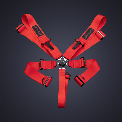 Racing Harness (Comp Spec/5-Point)