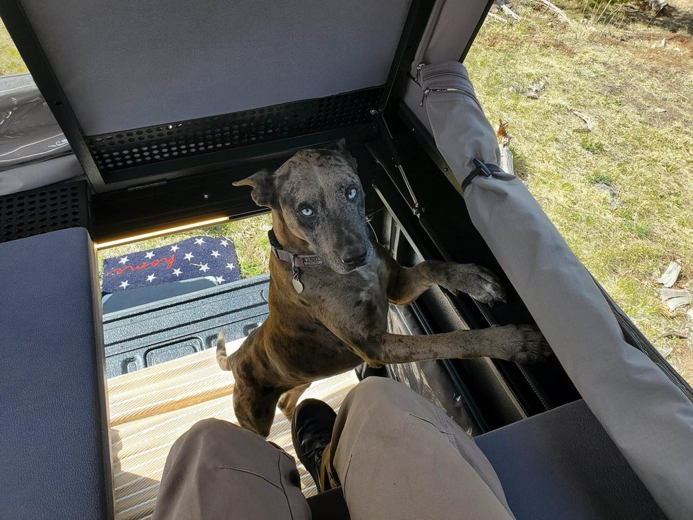 GAIA Campers Chevy Colorado / GMC Canyon Shortbed Camper - 2015+ (Downpayment)