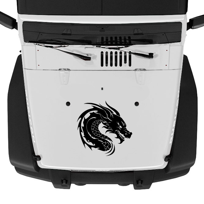 Dragon Hood Graphic 2