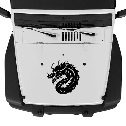Dragon Hood Graphic