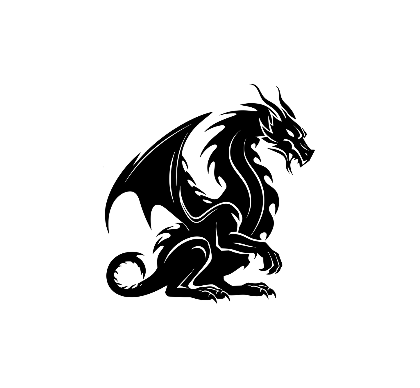 Full Body Dragon Hood Graphic