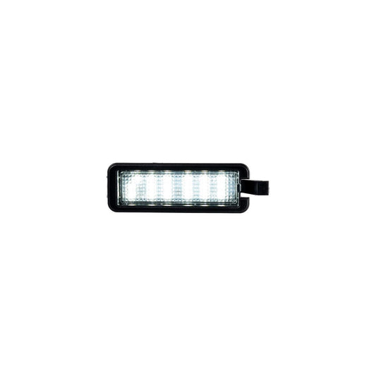 2015-2023 Dodge Charger LED License Plate Light (one)
