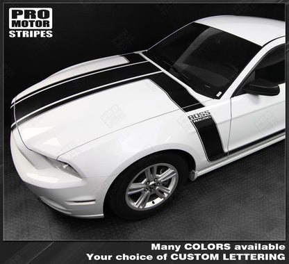 Ford Mustang 2013-2014 BOSS 302 Style Hood & Side Stripes