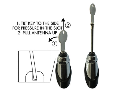 Antenna (Driver Side Mount)