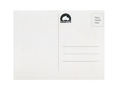 Westy Life Postcard Bundle