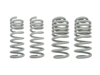 Coil Spring Bundle [4WD Syncro Vanagon]
