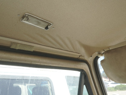 ABS Headliner (Westfalia Only)