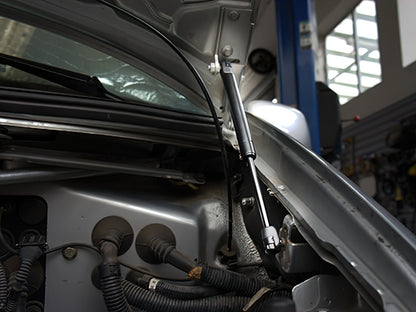 Hood Strut [Eurovan]