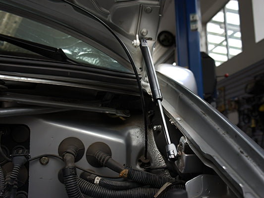 Hood Strut [Eurovan]