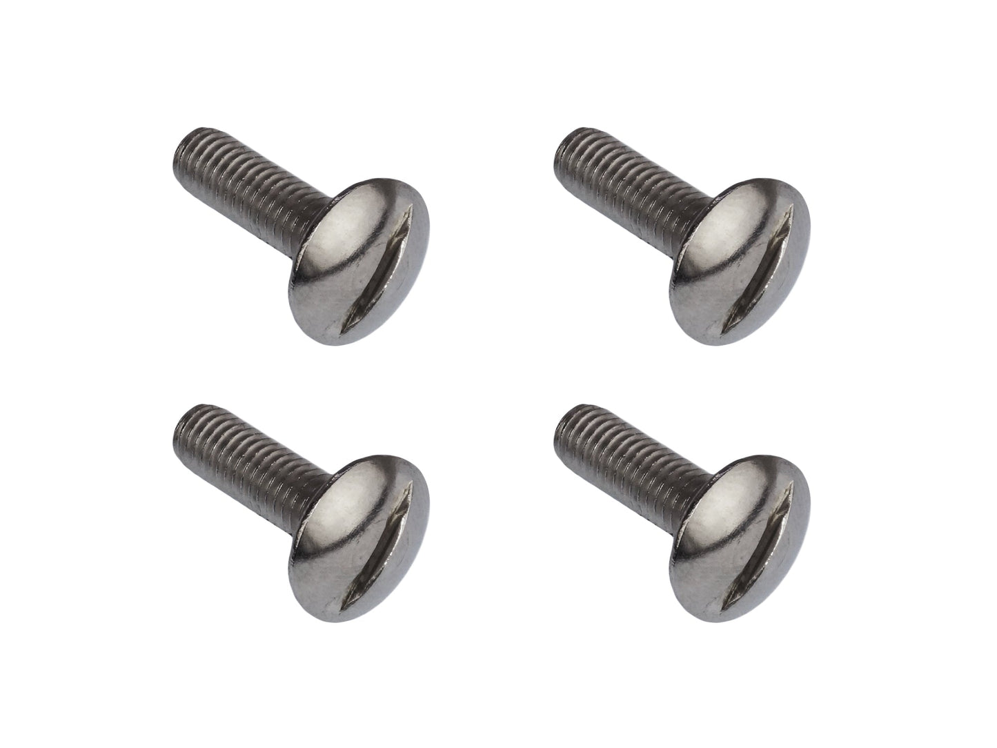 Luggage Rack & Pop-Top Hinge Screw Set [Vanagon]