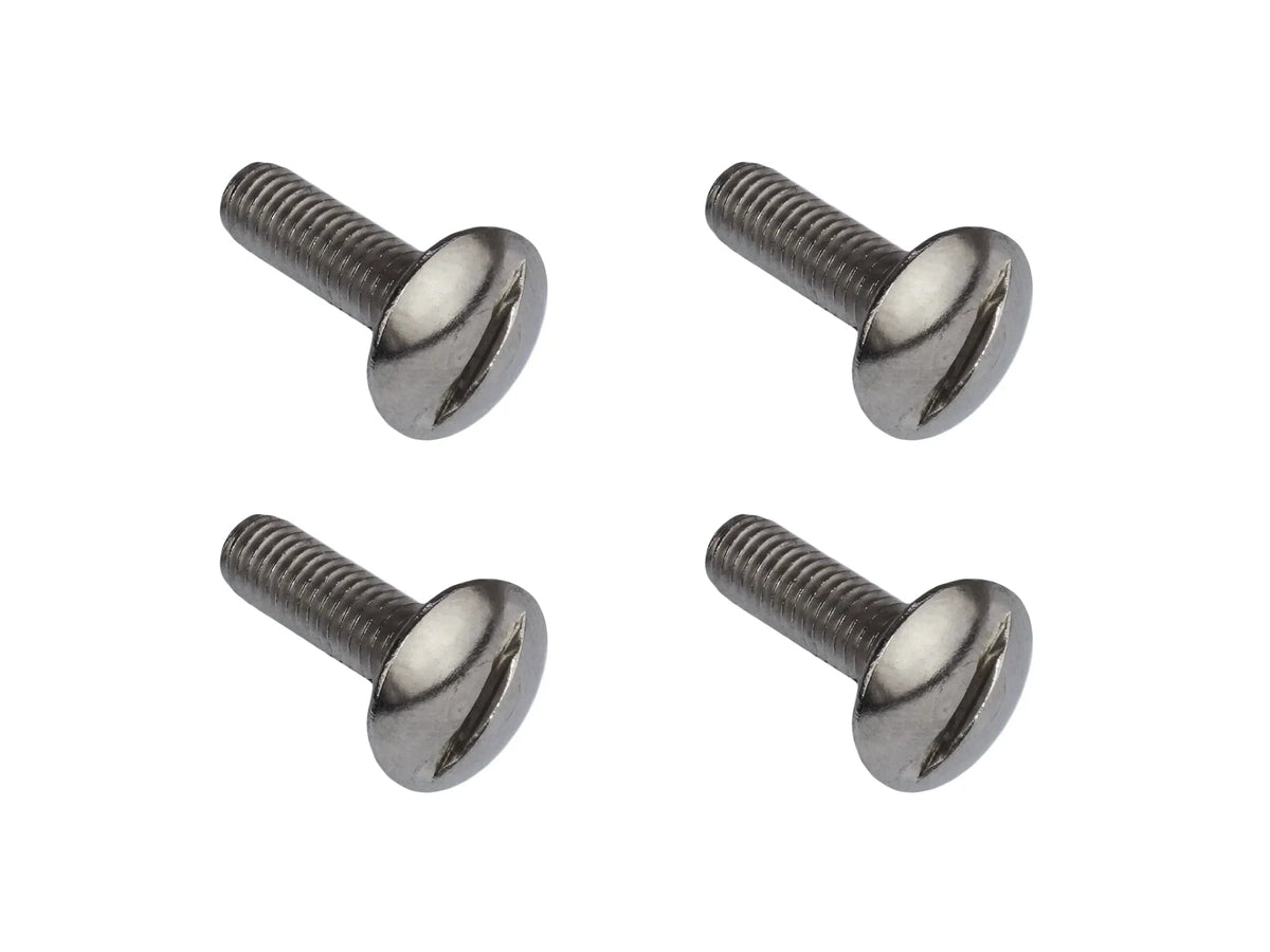 Luggage Rack & Pop-Top Hinge Screw Set [Vanagon]