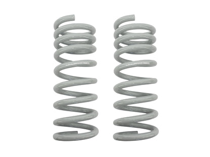 Coil Spring Bundle [4WD Syncro Vanagon]