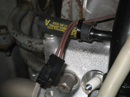 Oil Pressure Switch Harness [Late Vanagon]