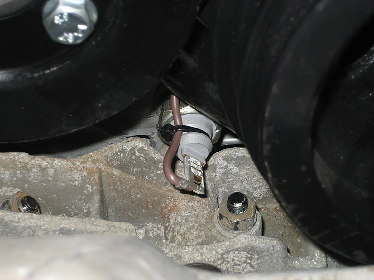 Oil Pressure Switch Harness [Late Vanagon]