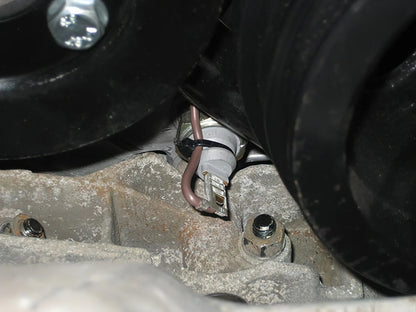 Oil Pressure Switch Harness [Late Vanagon]