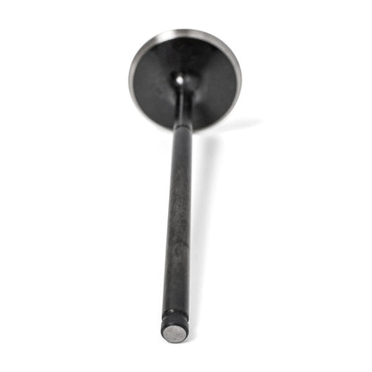 BLOX Racing High Compression 36mm Intake Valves - S2000 F20C/F22C
