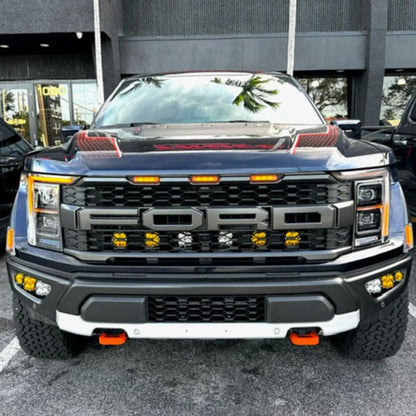 F-150 Raptor 2010-2023 Big-D Tow Hooks