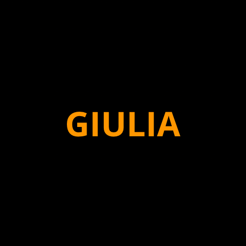 Alfa Romeo Giulia Screen ProTech Kit