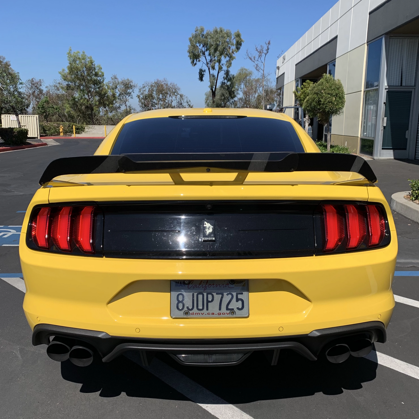 Mustang 18-23 Performance Pack Wicker Bill