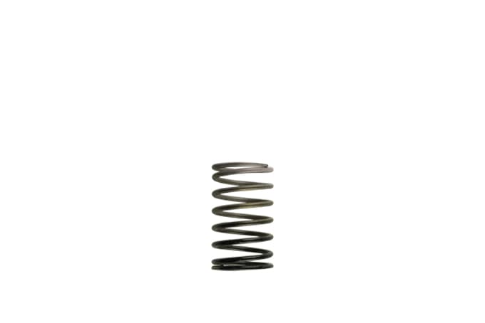 Turbosmart Turbocharger Wastegate Spring TS-0502-2007